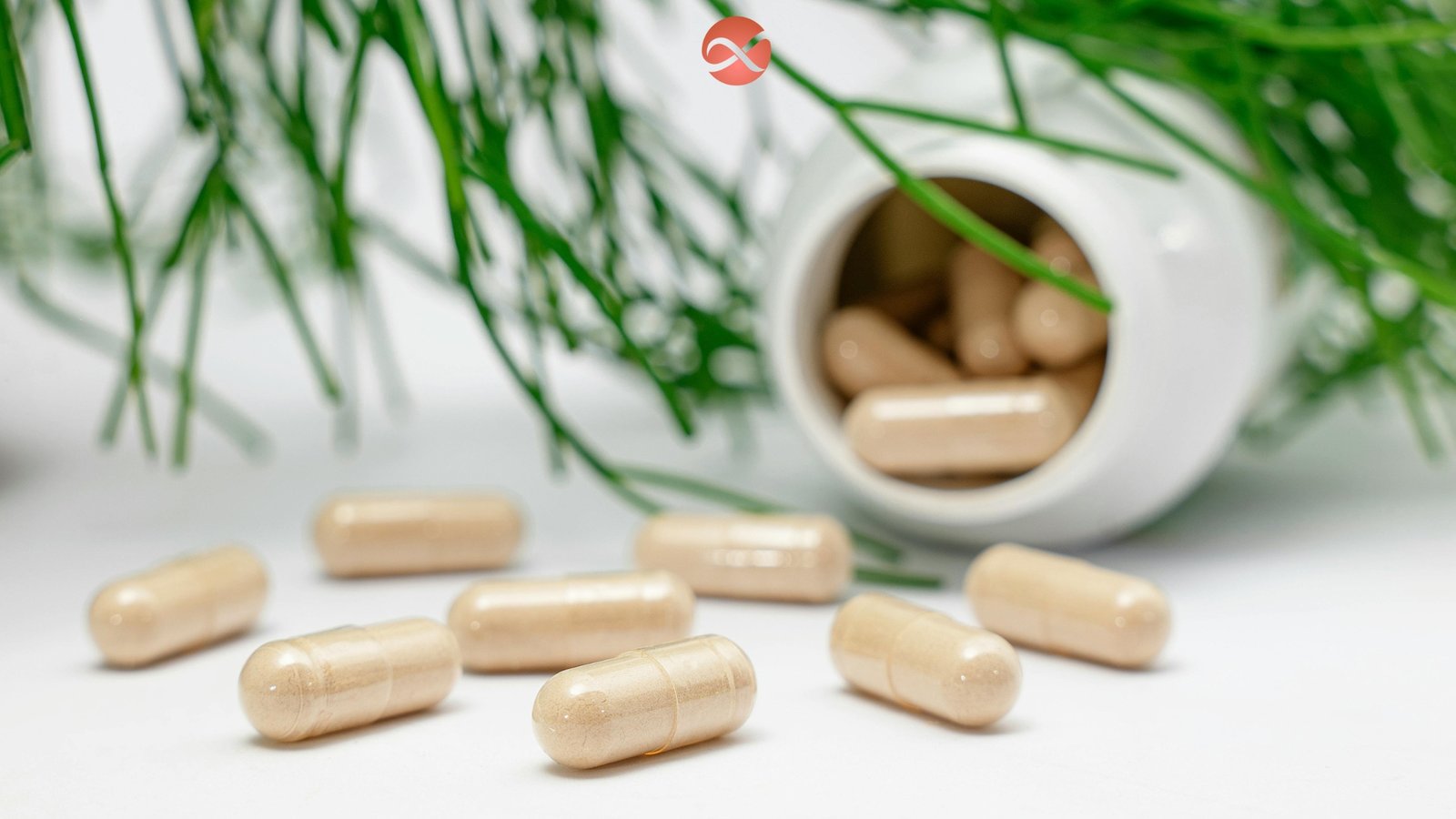 Nutraceutical Launch Checklist: Stability to Bioavailability | Ariscent